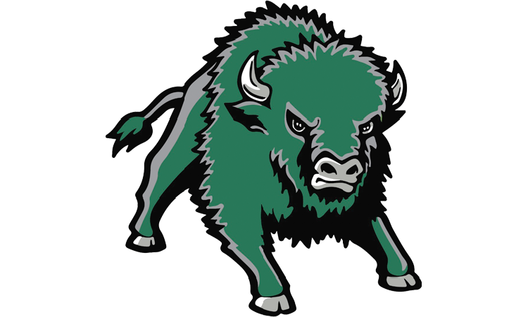 osd-bisons-new